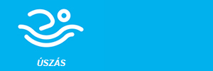 Vizes VB - Budapest Live stream online